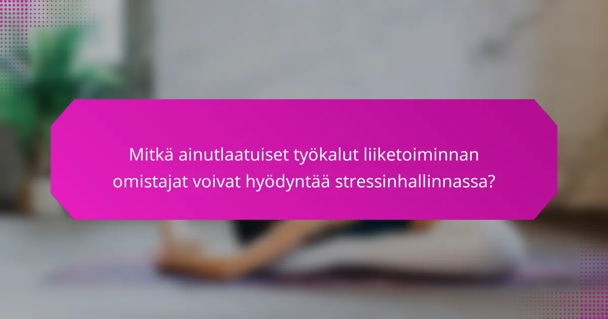 Mitkä ainutlaatuiset työkalut liiketoiminnan omistajat voivat hyödyntää stressinhallinnassa?