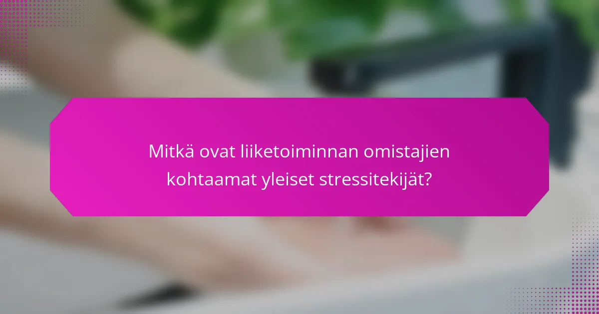 Mitkä ovat liiketoiminnan omistajien kohtaamat yleiset stressitekijät?