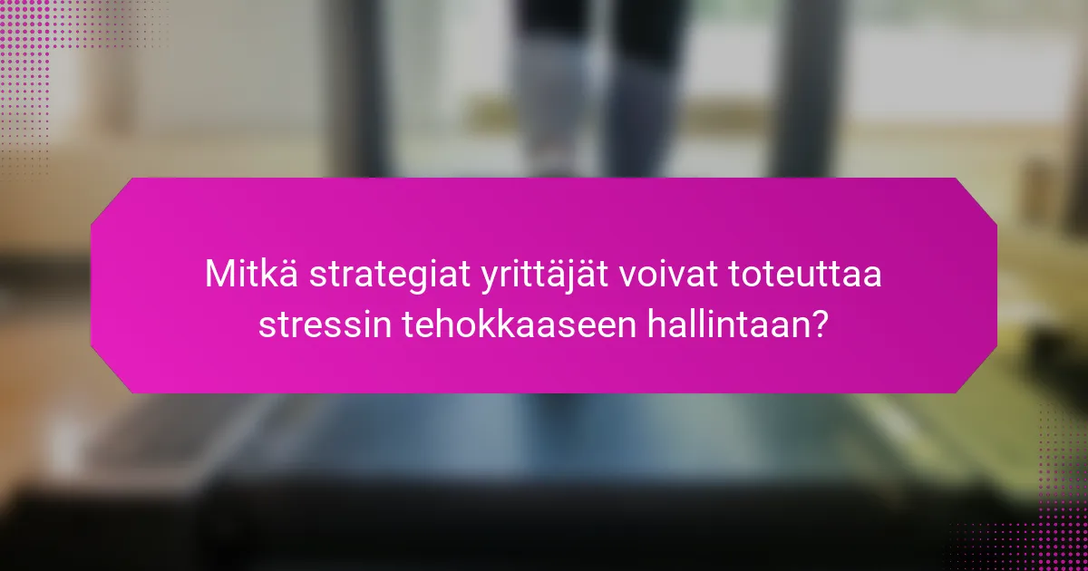 Mitkä strategiat yrittäjät voivat toteuttaa stressin tehokkaaseen hallintaan?